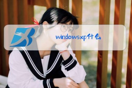 windowsxp什么梗