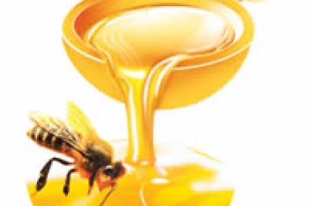运动后喝蜂蜜可促进肌肉增长