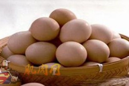 实验证明鸡蛋对健康有利