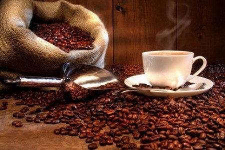 咖啡因和人体机能