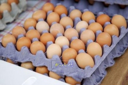 土鸡蛋真比洋鸡蛋更营养吗？